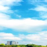 地方の転職に強いエージェントはどこ？強みと特徴について解説します