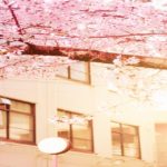 公務員を目指す人向けの予備校でおすすめはどれ？比較してみました